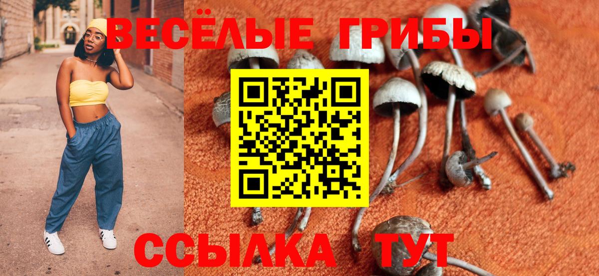 Псилоцибиновые грибы Psilocybe  где можно купить наркотик  Галлюциногенные грибы Magic Shrooms  Керчь  Вход с VPN 